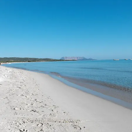 Lejlighed Remo By Interhome