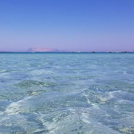 Remo By Interhome Lejlighed