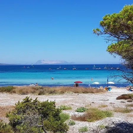 아파트 Remo By Interhome 타나우넬라